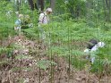 2018-05-24 15-16-07  Rando Fontainebleau FGn